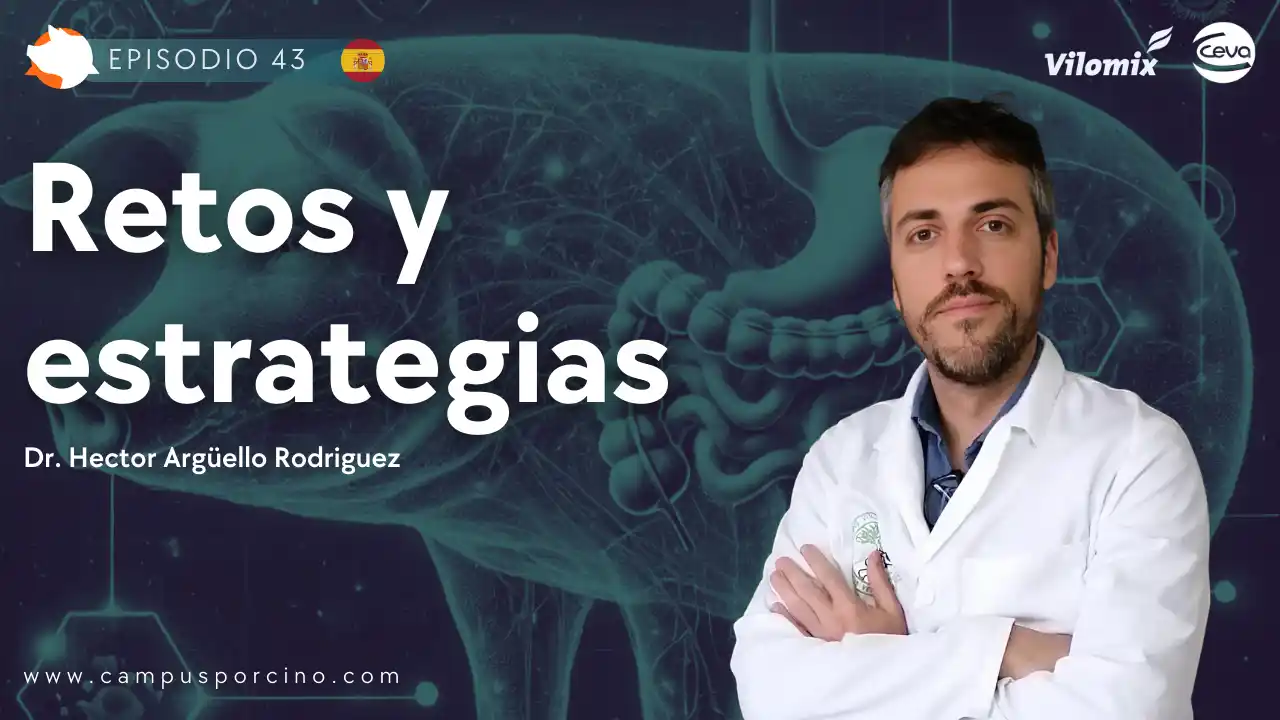 Complejo entérico porcino y su impacto en la salud intestinal - Dr. Hector Argüello Rodriguez