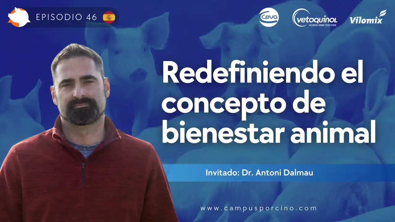 Redefinición del bienestar animal en porcicultura (Parte 1) - Dr. Antoni Dalmau.