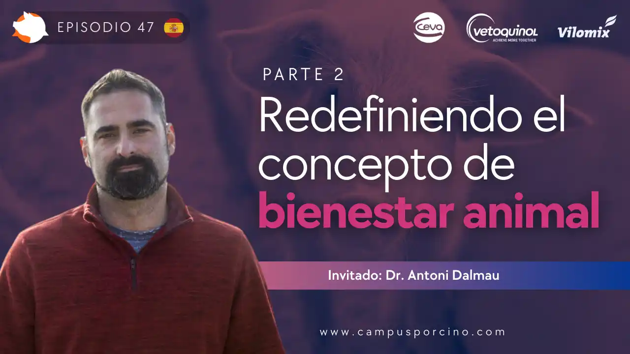 Redefinición del bienestar animal en porcicultura (Parte 2) - Dr. Antoni Dalmau.