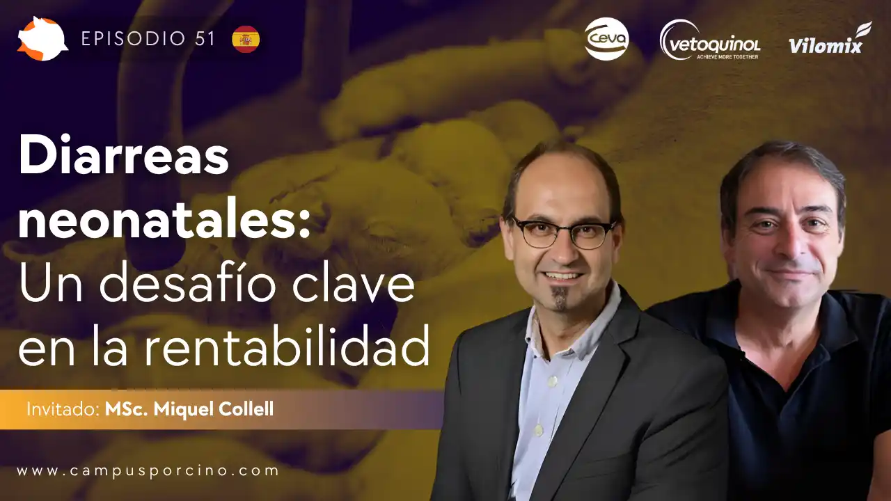 Diarreas neonatales en porcicultura y su impacto en la rentabilidad - MSc. Miquel Collell.