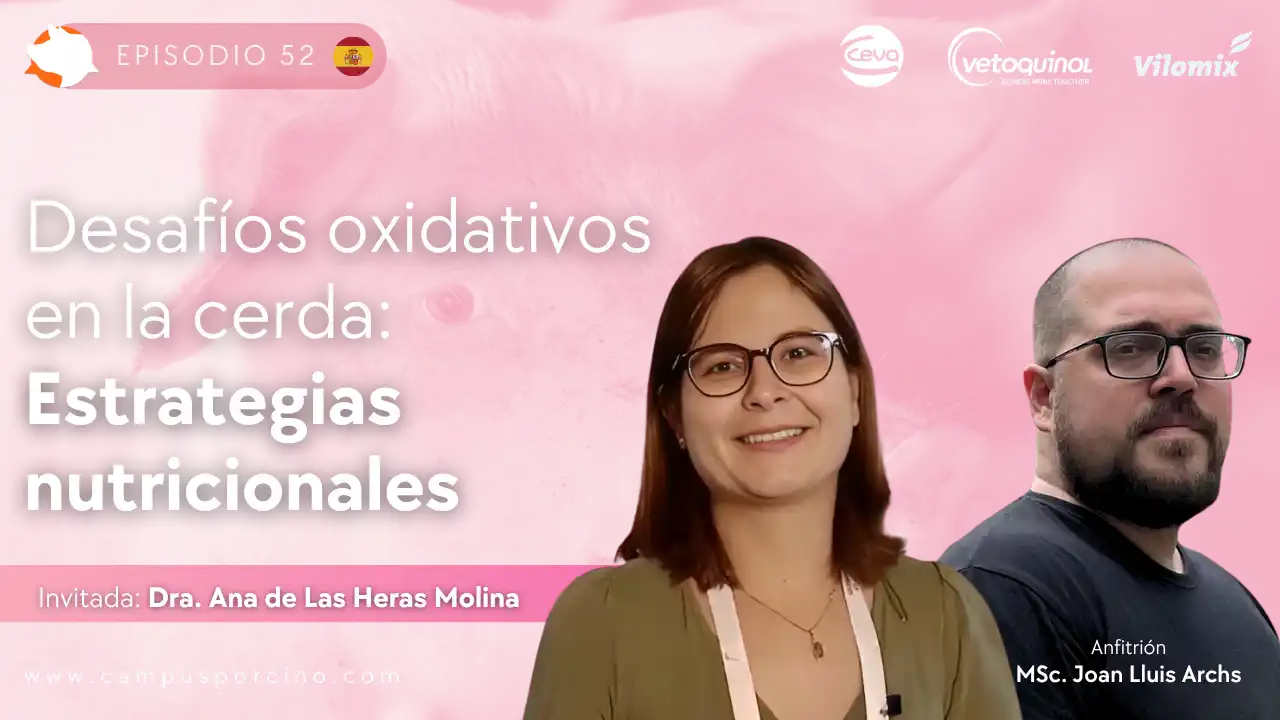 Desafíos oxidativos en la cerda y estrategias nutricionales - Dra. Ana de Las Heras Molina.