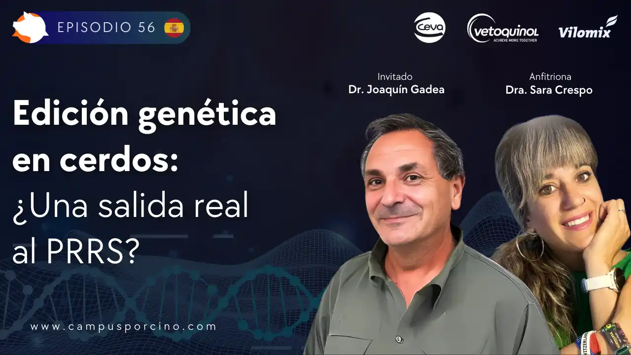 Edición genética en porcinos para enfrentar desafíos sanitarios - Dr. Joaquín Gadea.