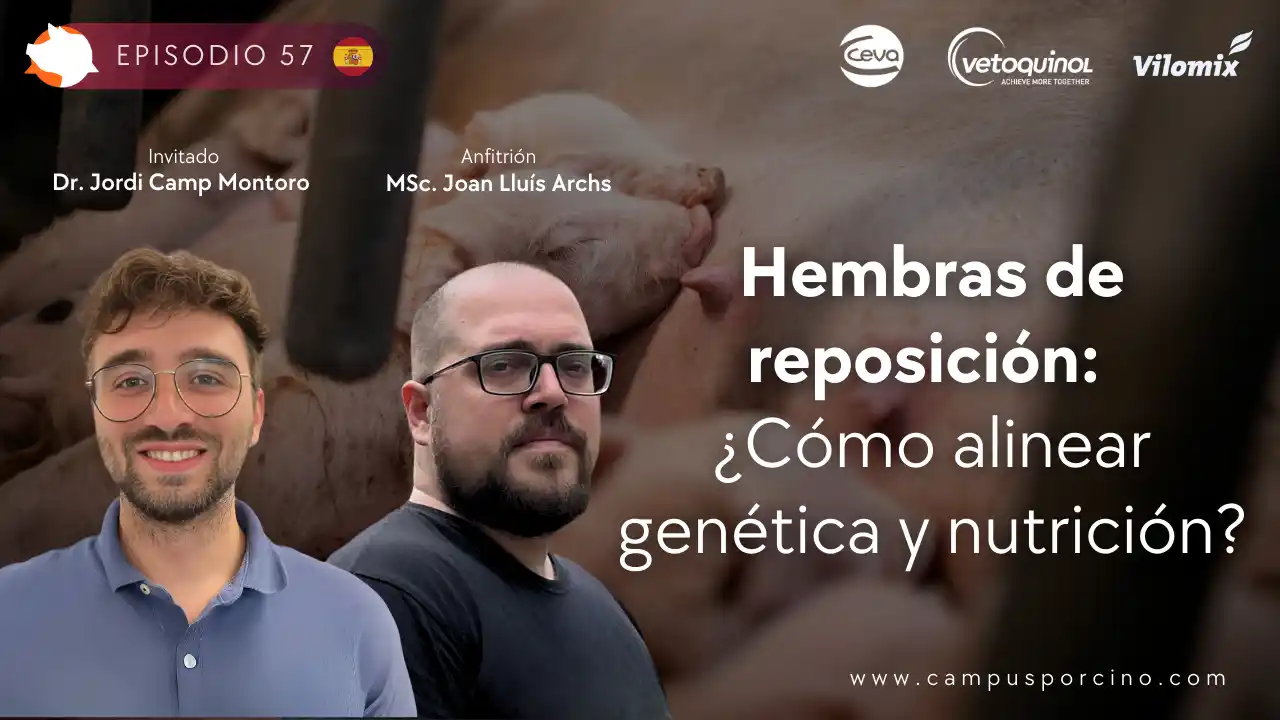 Nutrición en hembras de reposición: Alineación de genética y nutrición - Dr. Jordi Camp Montoro.