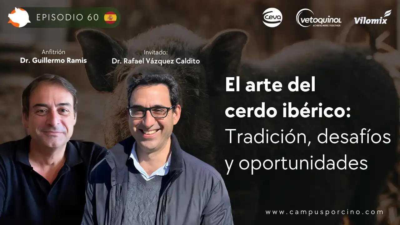 El arte del cerdo ibérico: Tradición y oportunidades (Parte 2) - Dr. Rafael Vázquez Caldito.