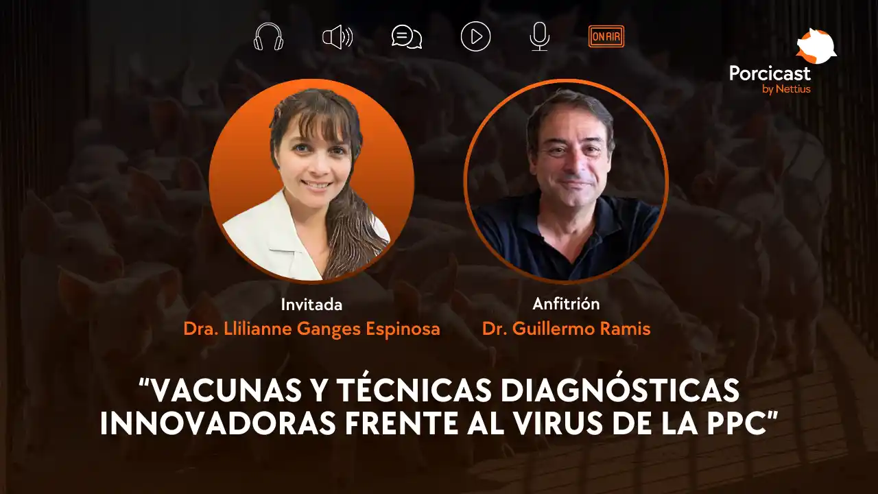 Vacunas y diagnóstico innovador frente al virus de la Peste Porcina Clásica.
