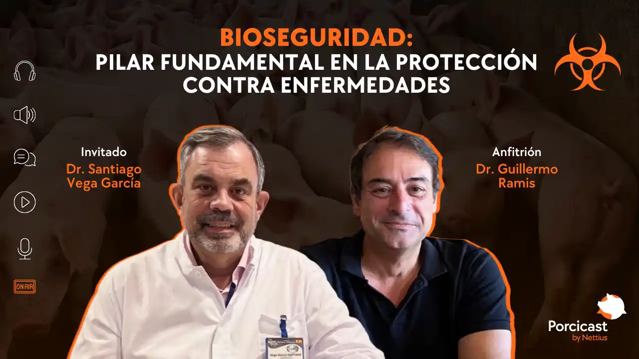 Bioseguridad como base para la prevención de enfermedades porcinas.