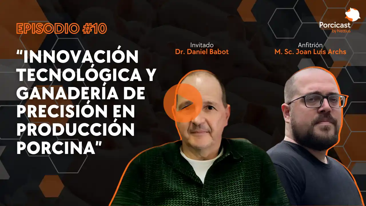 Ganadería de precisión e innovación tecnológica en producción porcina.
