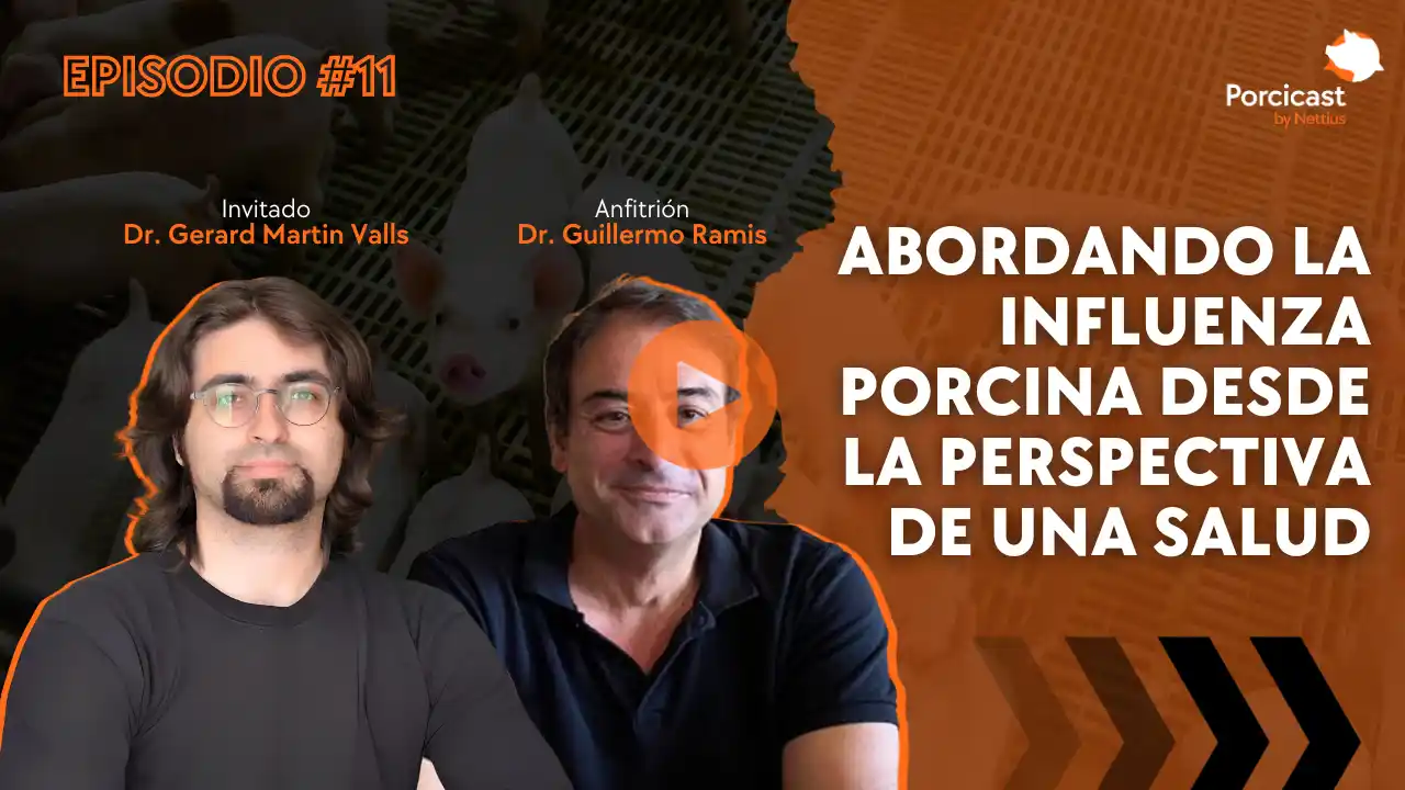 Influenza porcina analizada desde el enfoque de Una Salud.