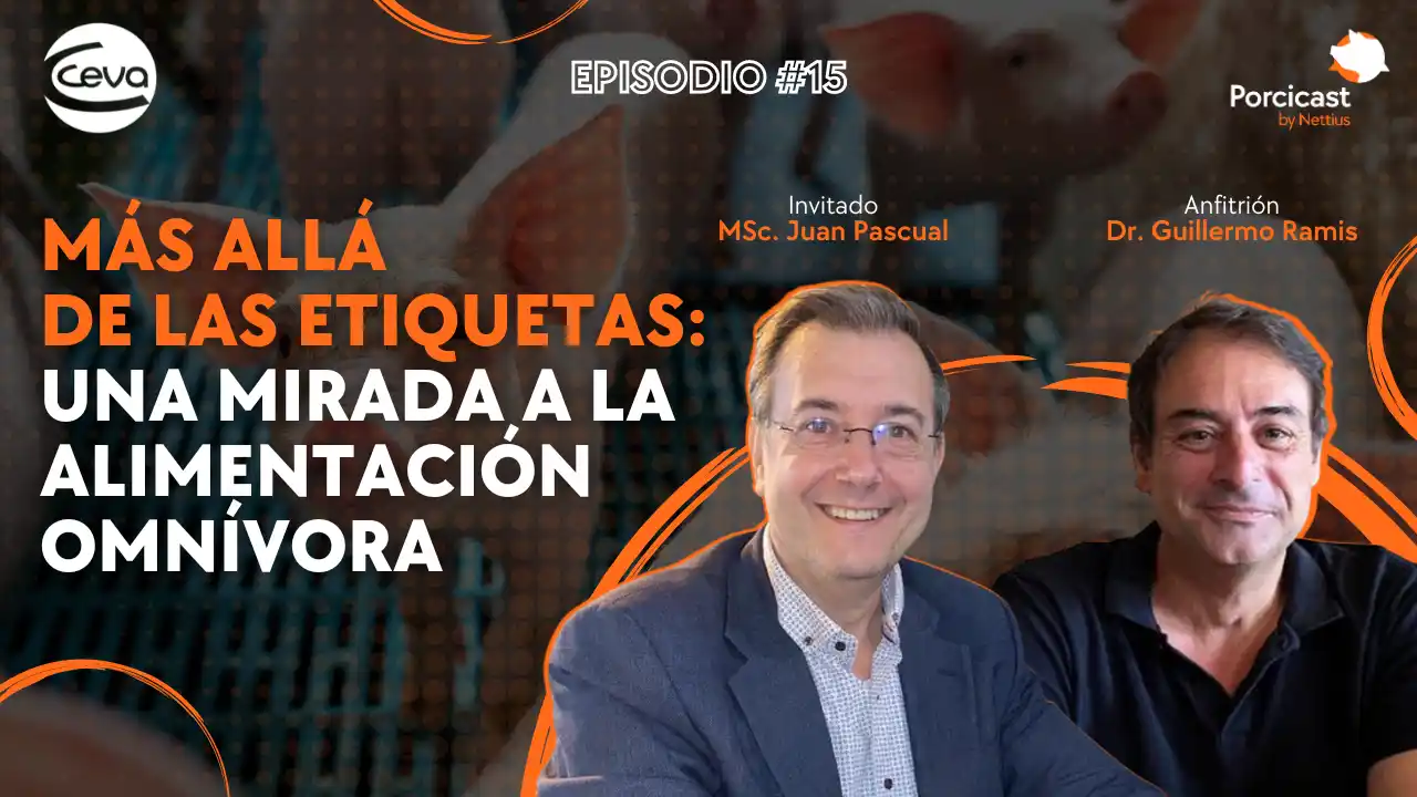 Alimentación omnívora y su análisis más allá de las etiquetas en porcicultura.