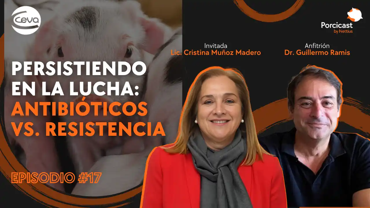 Uso de antibióticos y resistencia antimicrobiana en porcicultura.