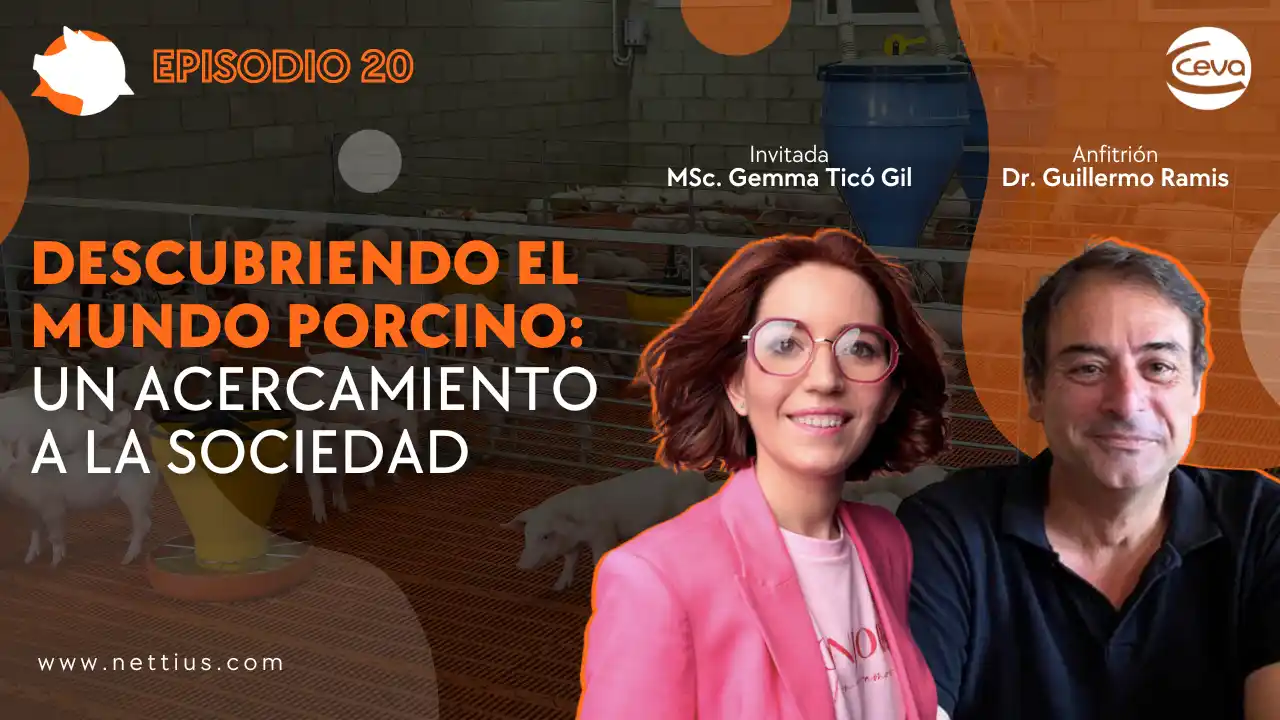 Acercamiento del mundo porcino a la sociedad y comunicación del sector.