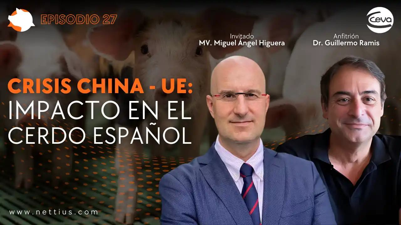 Impacto de la crisis China-UE en el sector porcino español.