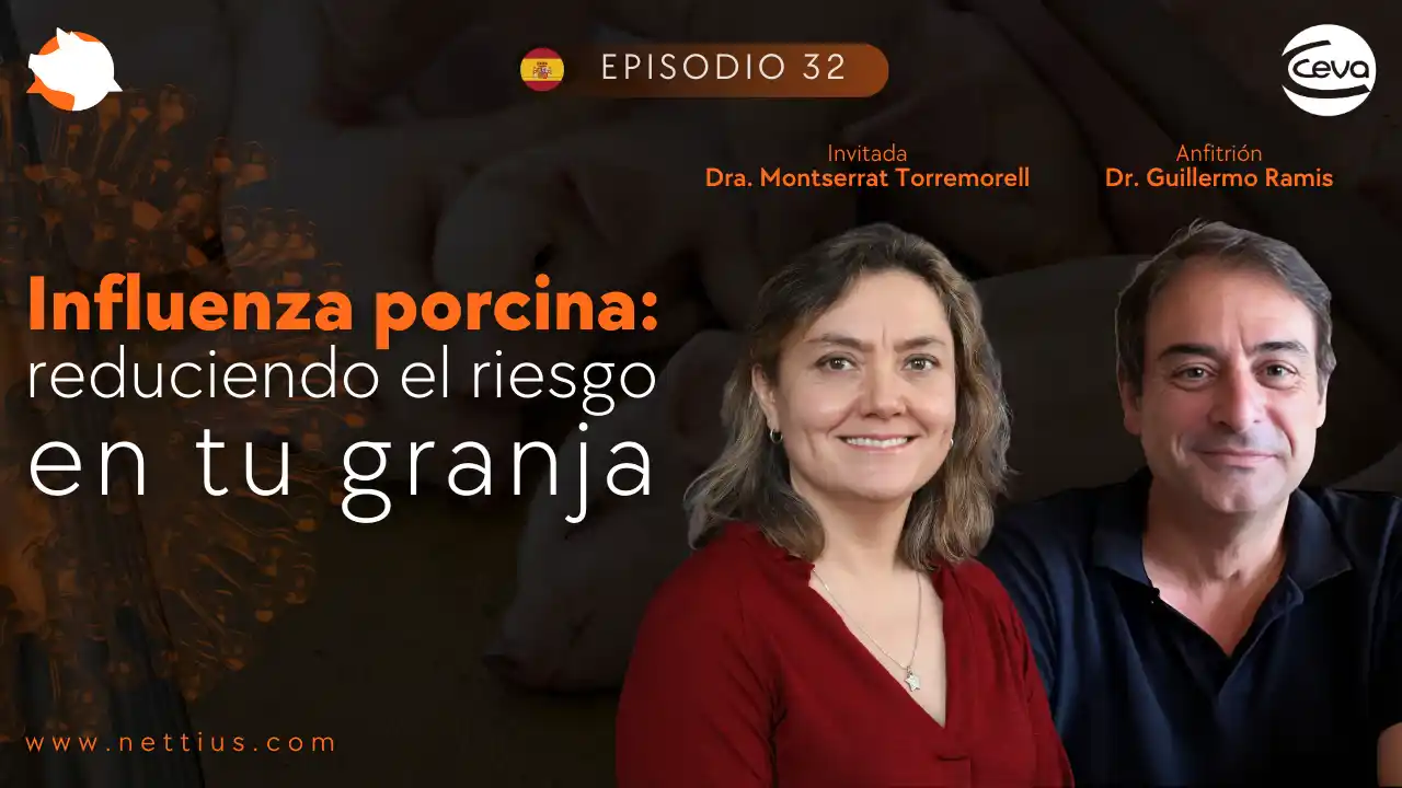Reducción del riesgo de influenza porcina en granjas - Dra. Montserrat Torremorell.