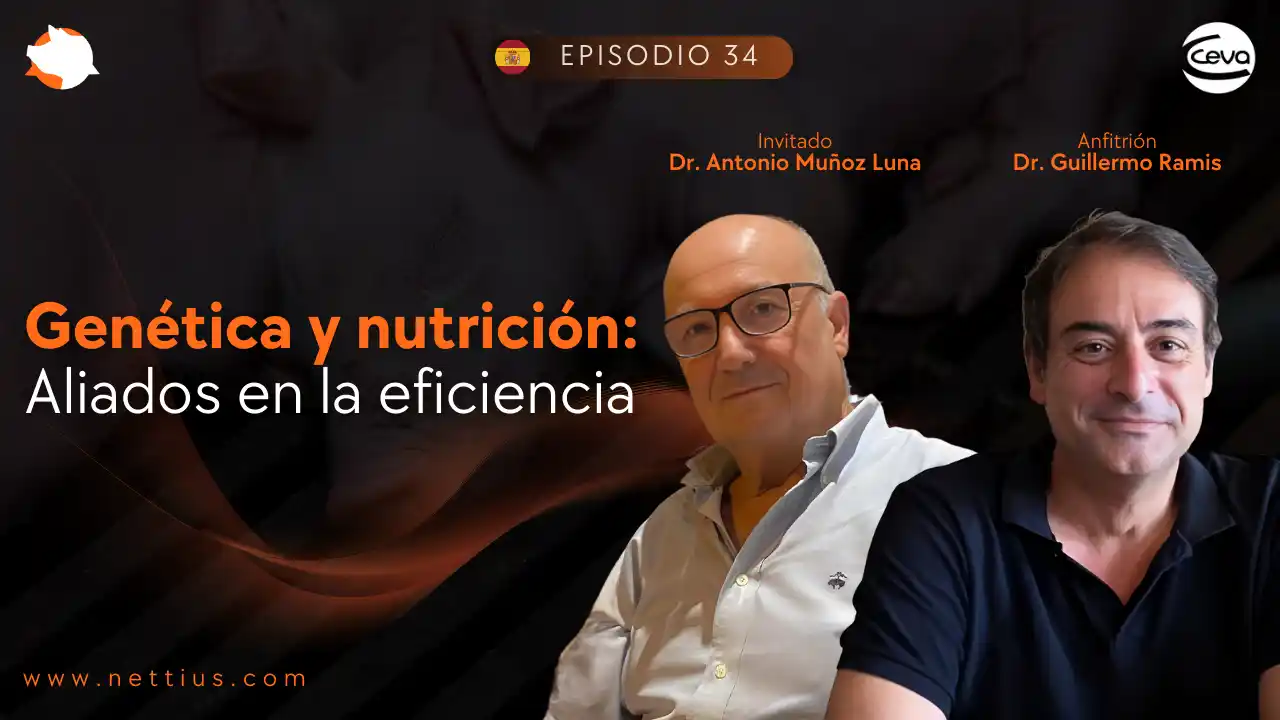 Genética y nutrición como aliados en la eficiencia productiva porcina - Dr. Antonio Muñoz Luna.