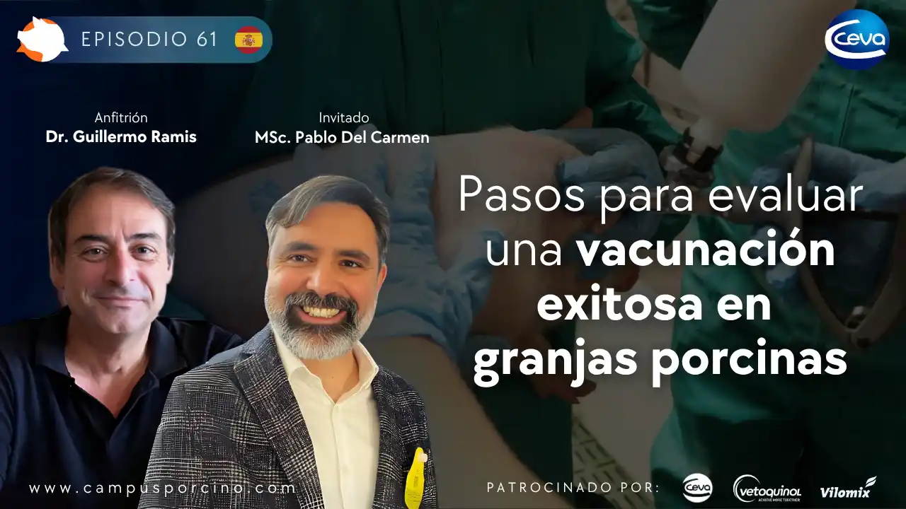 Evaluación de una vacunación exitosa en granjas porcinas - MSc. Pablo Del Carmen.