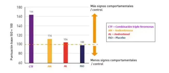 Respuesta comportamental al test de presión dorsal en cerdas expuestas a feromonas sexuales.