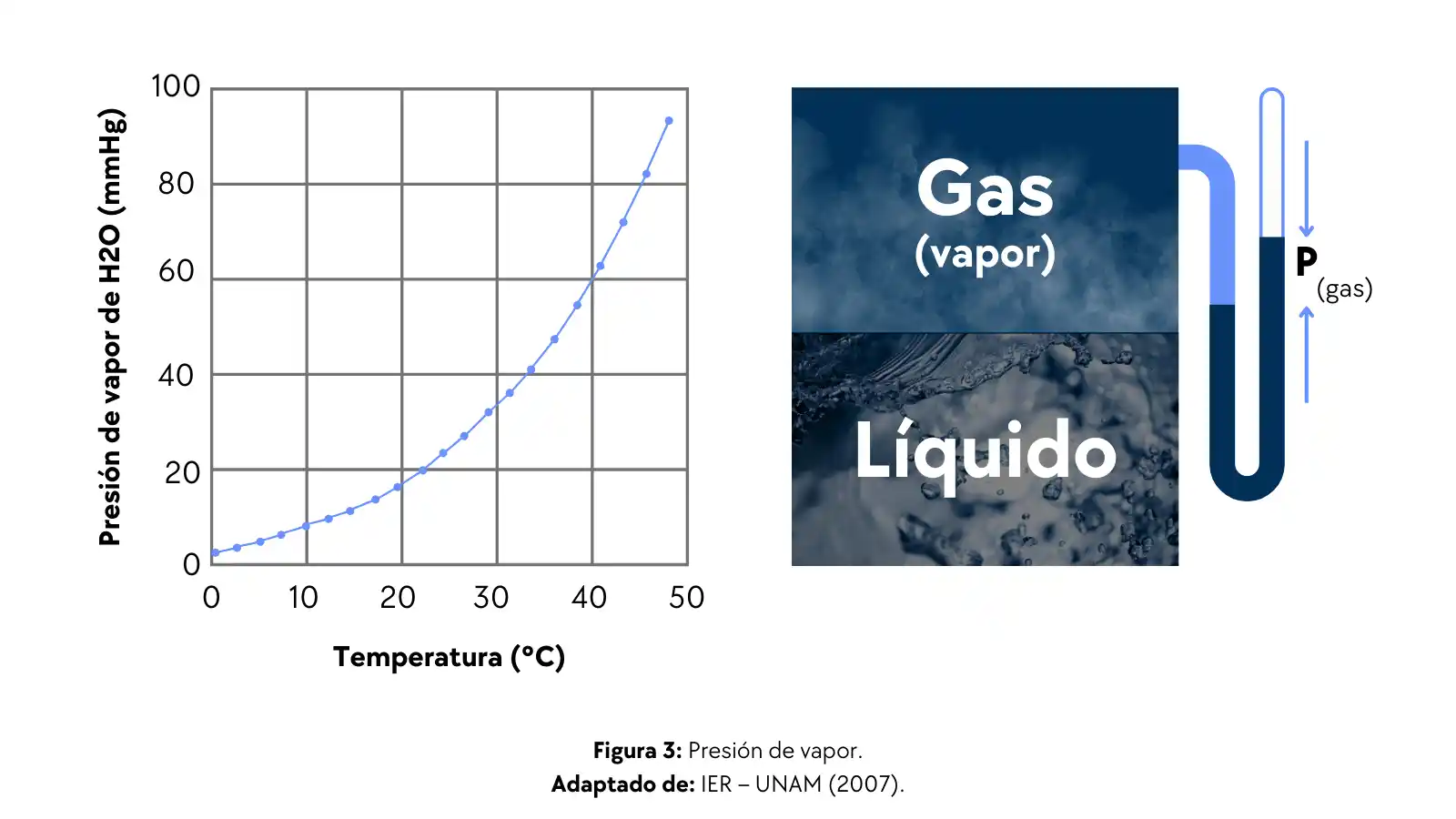 Presión de vapor y su relación con la humedad ambiental.