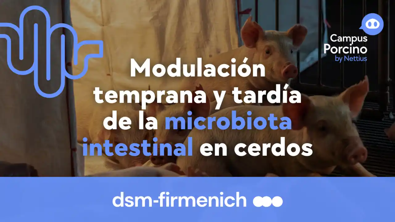Modulación temprana y tardía de la microbiota intestinal en cerdos.