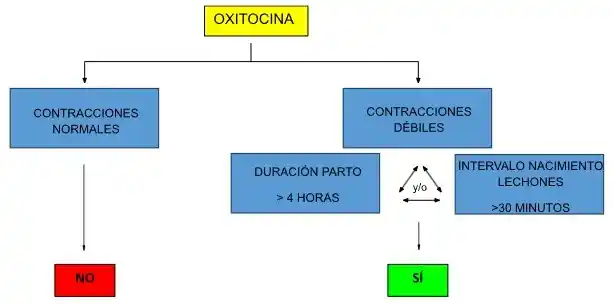 Flujograma de administración de oxitocina según signos distócicos.