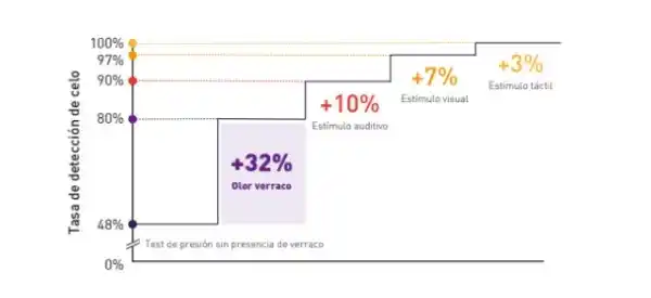 Efectividad de estímulos en el reflejo de inmovilidad en cerdas en celo.