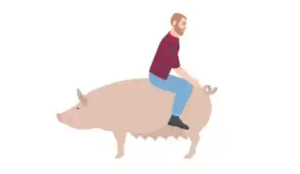 Estimulación del reflejo de presión para detectar celo en cerdas.