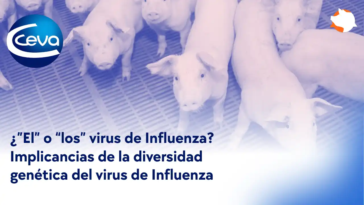 Diversidad genética del virus de Influenza y sus implicancias.